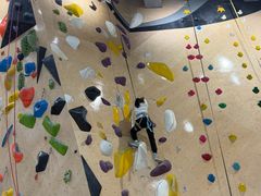 -ROCKPLUS攀岩馆(环宇城店)