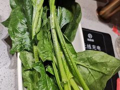 -海底捞火锅(青山湖万达夜宵主题店)
