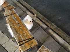 -成都市活水公园