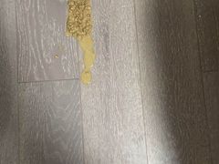 -萌兽医馆·宠物医院·猫骨科(创景店)