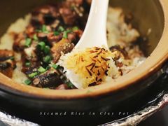 -红星光发煲仔饭(文海店)