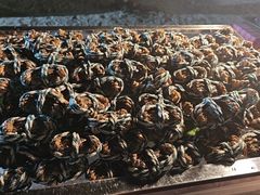 -亚龙湾希尔顿自助餐厅·海鲜·烧烤·沙滩BBQ·现场乐队