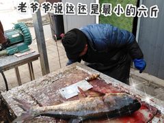 -姥家大锅台水库渔家