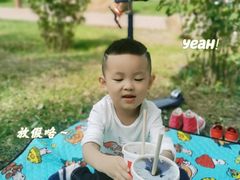 -丁香湖公园