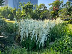-广富林郊野公园