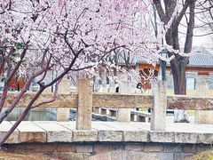 -三里河公园