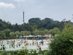 -重庆海昌加勒比海水世界