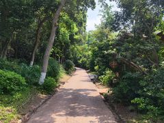 -杭州开元森泊度假乐园