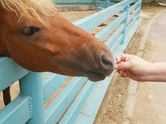 -酷鱼垂钓CLUB(朝阳区博大路店 )