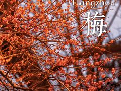 -杭州植物园