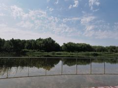 -永定河休闲森林公园