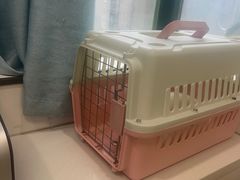 -瑞派·关忠动物医院·猫专科·犬专科(三环新城店)