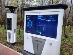 -绥化市森林植物园