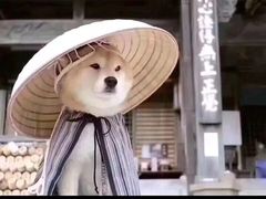 -万宝海鲜舫(劳动公园店)