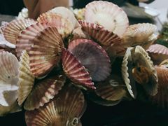 -兆辉木炭海鲜烧烤·海鲜小炒