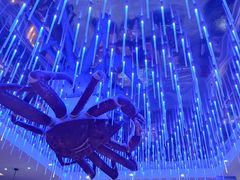 -蟹之国·精品蟹料理(极地店)