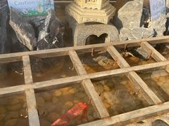 -江门古兜温泉小镇
