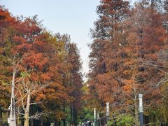 -深圳市南山区育才第四幼儿园