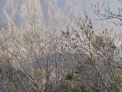 -京东石林峡风景区