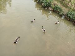 景点-牛岗山公园