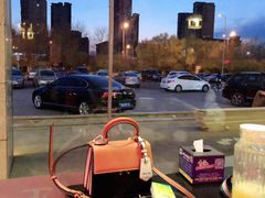 -陈阿婆重庆绿色鱼火锅