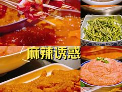 -来涮蜀鲜货火锅串串香(菜市口店)