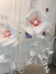 -美莱医疗美容医院