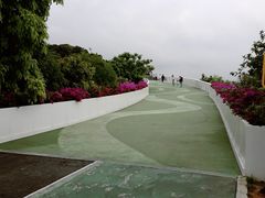 -飞凤山奥体公园