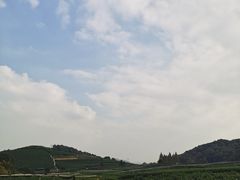 -听风阁农家私房菜茶楼(龙坞店)