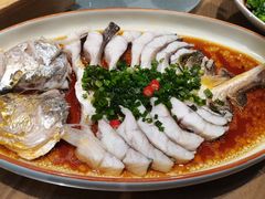 清蒸油泼大黄鱼-四季餐厅·新津菜(环湖中路店)