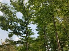 -长春公园(普阳街道)