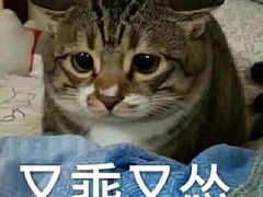 -玛马艾脆皮水磨年糕(湖北路87-89小区店)