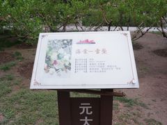 -元大都城垣遗址公园