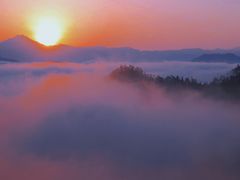 -九龙江国家森林公园