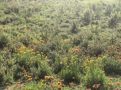 -汉长安城未央宫国家考古遗址公园