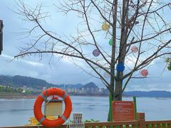 -千岛湖城中湖游船码头
