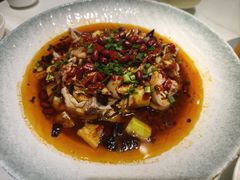 -兔博士江湖川菜(青年城店)