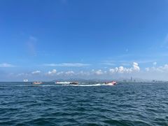 -养马岛旅游度假区