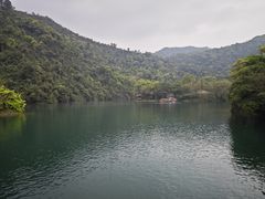 -鼎湖山风景区