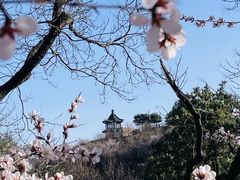 -八大处公园
