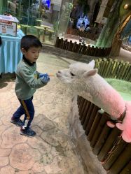 -宝燕乐园(闵行旗舰店)