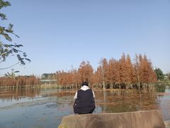 -白鹭湾湿地公园