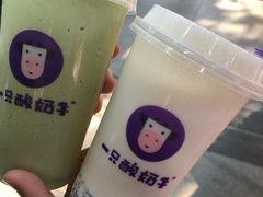 -一只酸奶牛(八一路店)