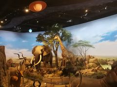 -陕西自然博物馆