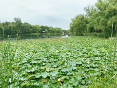 -承德避暑山庄景区