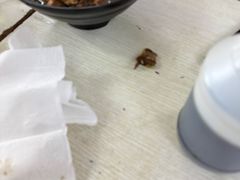 -小龙大肉面馆