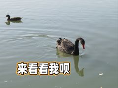 -朝阳公园