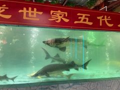 -年辉渔村