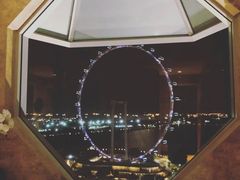 -新加坡丽思卡尔顿美年酒店