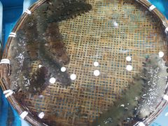 -港畔赶海蒸汽海鲜烧烤自助(仙螺岛店)